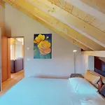 Chalcherin Duplex דירה סלרינה